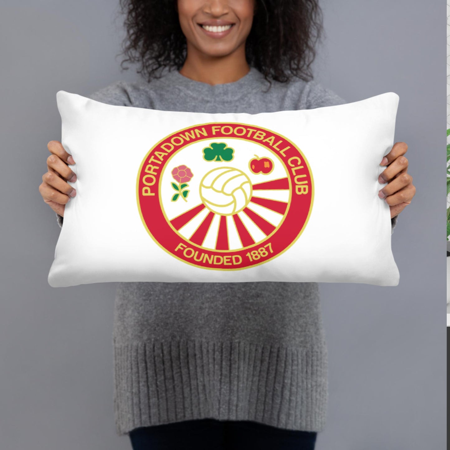 PFC Pillow